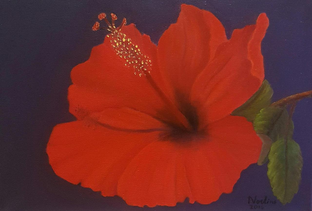 Red Hibiscus