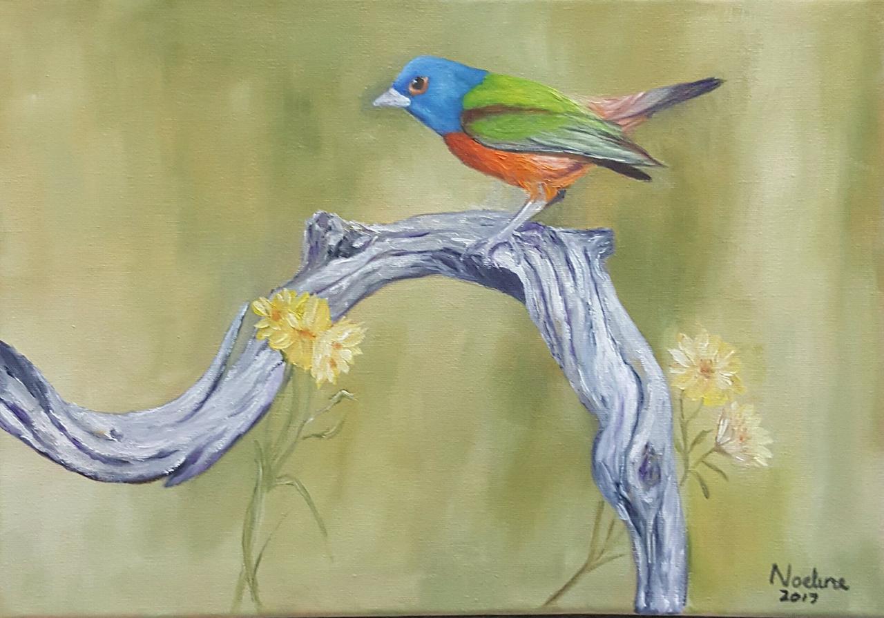 Painted Bunting